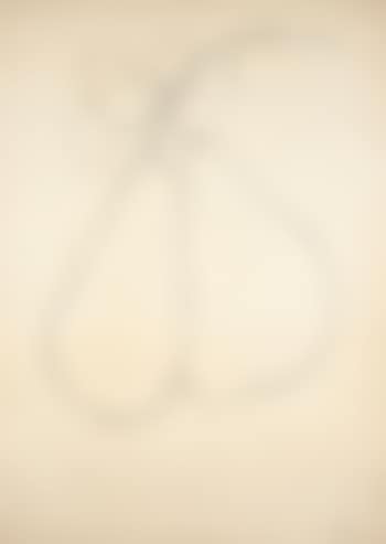 Poire I (preview)