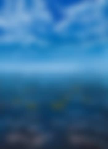 Guyi ga ginimbirri (fish and clouds) (preview)