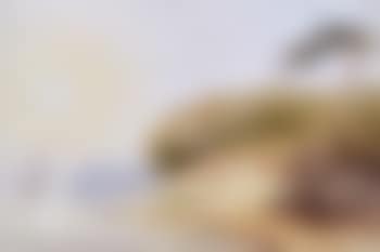 Sydney Harbour Scene (preview)