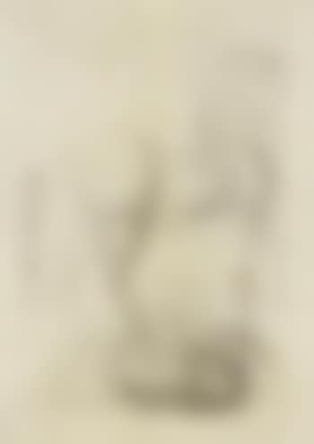 Le Cheval (preview)