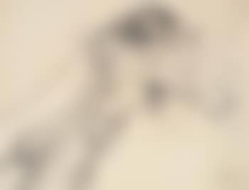 Nude Asleep (preview)