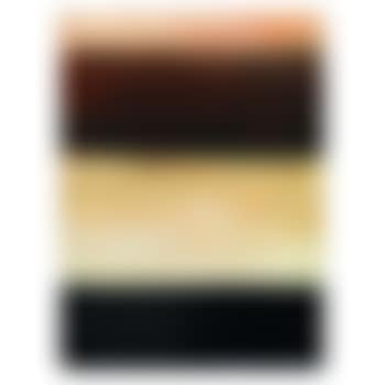 Black, White and Orange Landscape (preview)