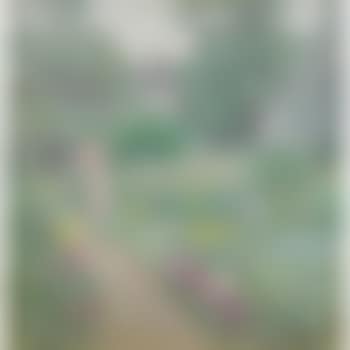 In Miss Florences Garden (preview)