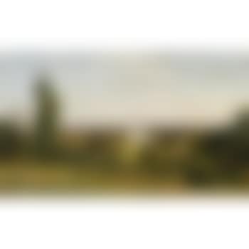 View of Richmond Hill (preview)