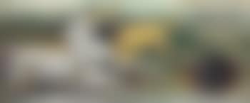 Untitled (Horses) (preview)