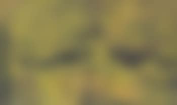 Untitled (Village) (preview)