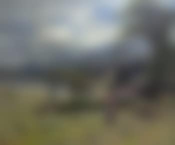 Hayfield Near Llandudno (preview)