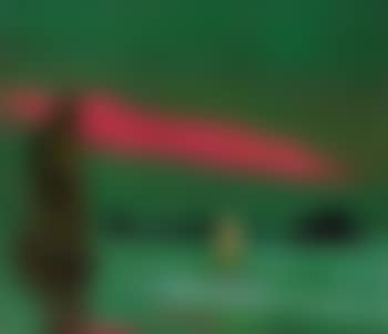 Südseeinsel (South Sea Island) (preview)