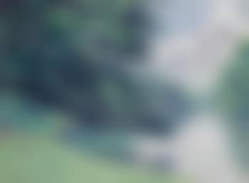 Park (preview)