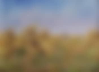 Working the land (preview)
