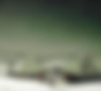 A winter landscape (preview)