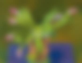 Stillleben Mit Tulpen (preview)