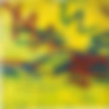 Primrose Hill, Summer (preview)