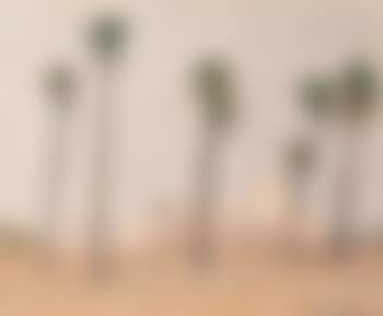 Vue de Djerba (preview)