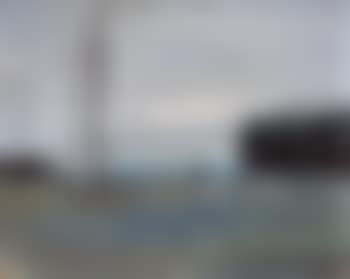 Campo con vacas Holando (preview)