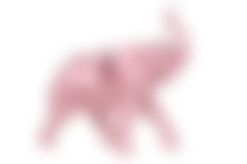 Cloned elephant with waterpacks (preview)