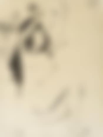 Femme et amour (preview)