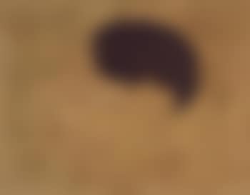 Painting (The Circus Horse) (preview)