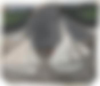 Four Sailing Ships (preview)