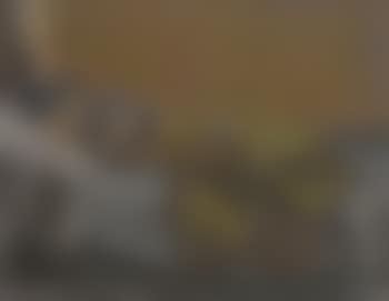The Yellow Skirt (preview)