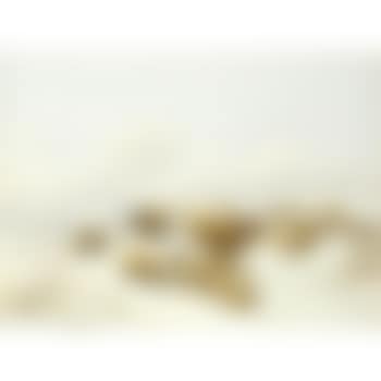 A Flock of Sheep in a snowy winter Landscape (preview)
