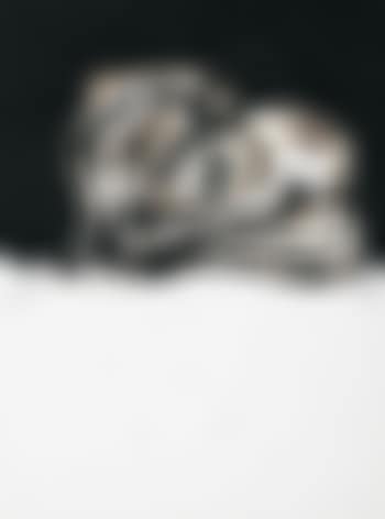 El Perro de Goya 2 (preview)