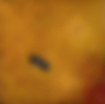Composition (preview)