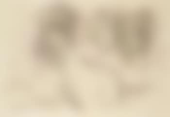 Composition (preview)