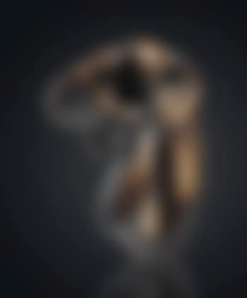 Evocation D'une Forme Humaine Lunaire Spectrale (preview)
