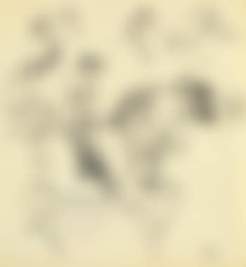 Sans Titre (preview)
