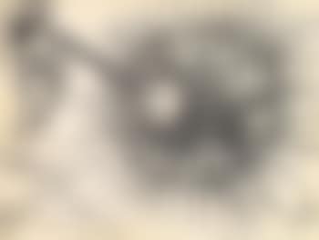 Oursin (preview)