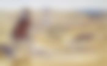 Rounded at last (preview)