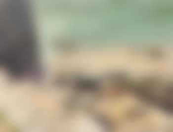 Low Tide (preview)
