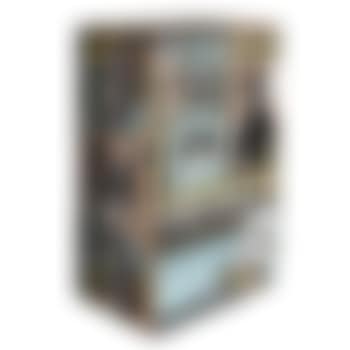 Untitled (Summer 09, Box 17), 2009 (preview)