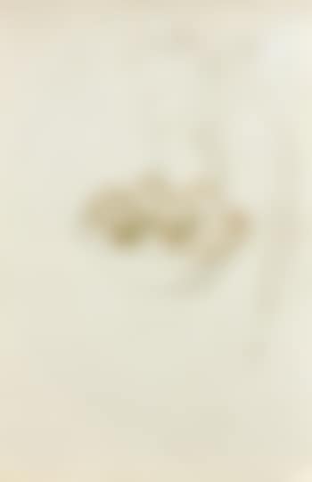 Nature morte aux fruits (preview)