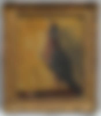 Study of a pigeon (preview)