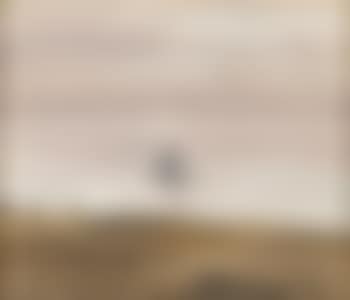 Evening return (preview)