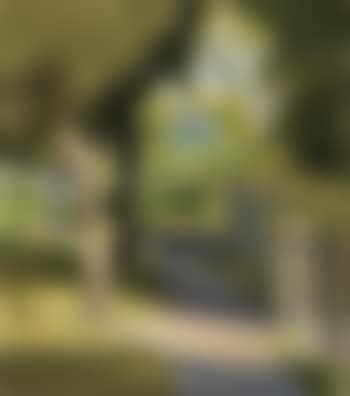 Path to the beach (preview)