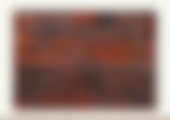 SP220 (preview)