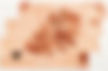 Foglie Del Cervello - Quercia (preview)