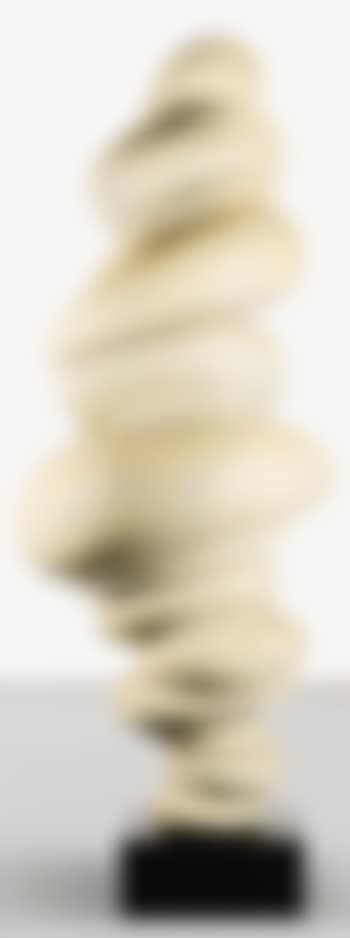 Wirbelsäule (preview)