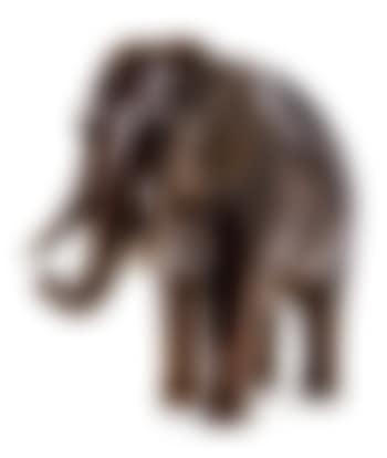 Elephant (preview)