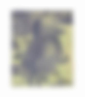 Untitled (Figure Mountain Landscape) (preview)