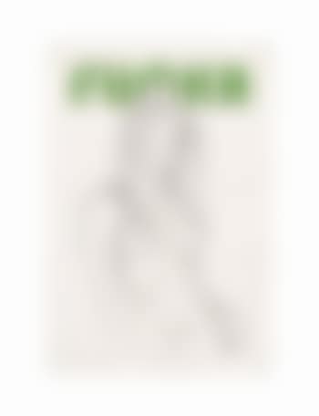 Flicka (preview)