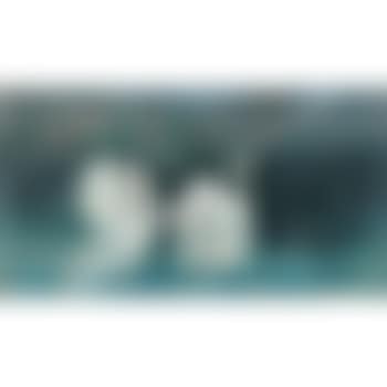 Due cigni. Cigni (preview)
