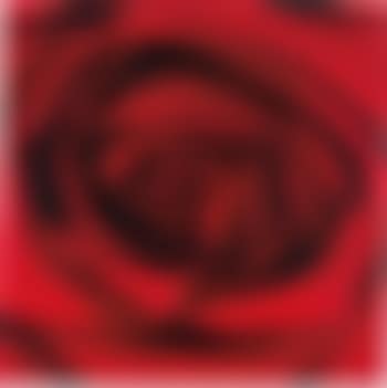 Untitled (October), from the Lust of the Eye (preview)