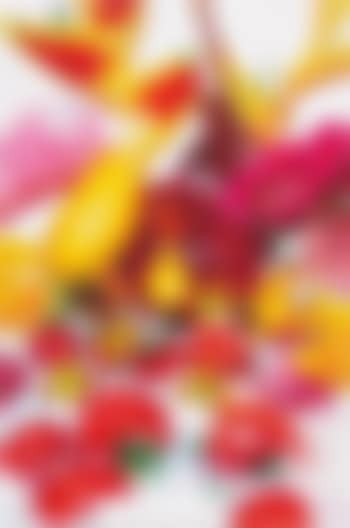 Avalanche (preview)
