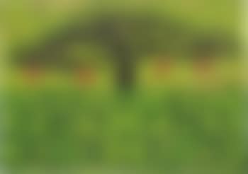 Monkey Pod (Green) (preview)