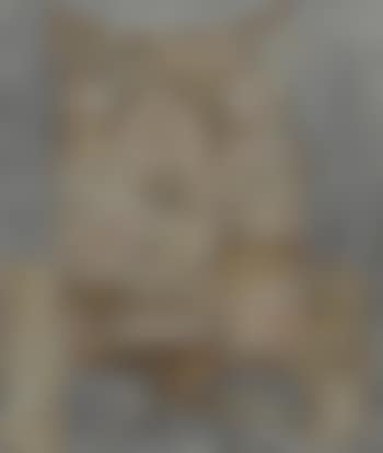 Untitled (preview)