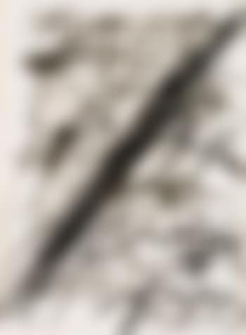 Ohne Titel (preview)